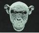 100th Monkey