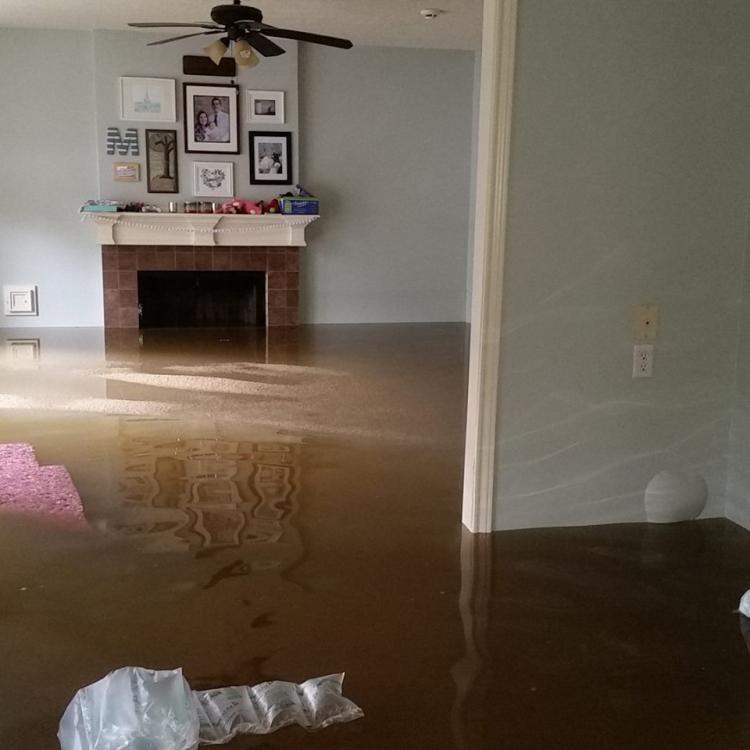 flood2.jpg