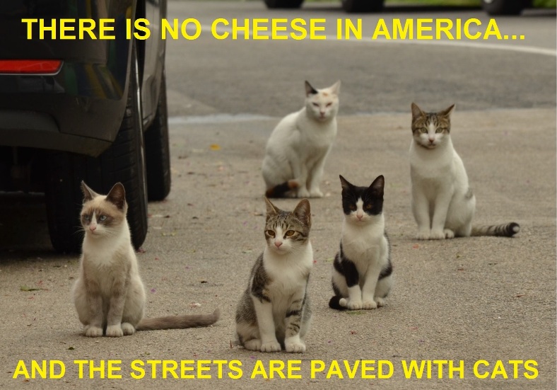 425486107_NoCheeseinAmerica-sm.jpg.9e0a86a4400066e6e1fd16baf67d5805.jpg