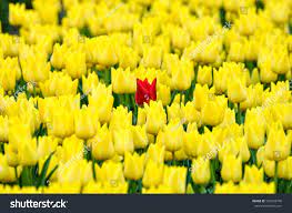 image.jpeg.2f8bcd42b86dd36746e22a138f71e9a4.jpeg